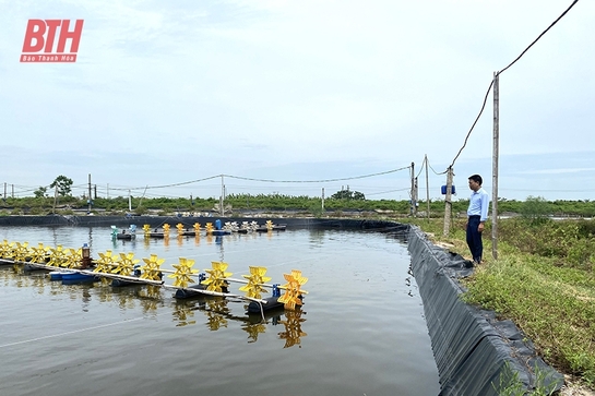 Bảo đảm an toàn trong nuôi trồng thủy sản mùa link m88 nóng