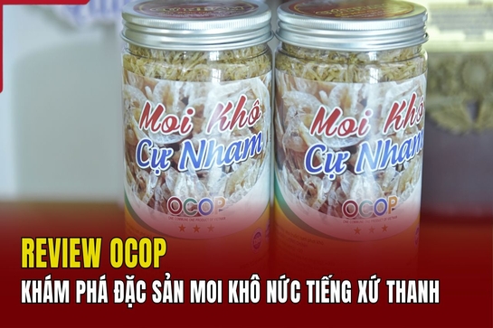 [REVIEW OCOP] Khám phá đặc sản moi khô nức tiếng xứ Thanh