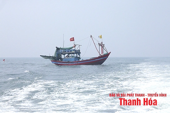 Chủ động ứng phó với áp thấp nhiệt đới và gió mạnh trên biển