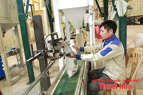 Xây dựng các cơ sở bảo quản, chế biến nông sản