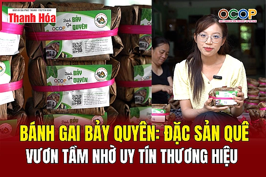 [REVIEW OCOP] Bánh gai Bảy Quyên: Đặc sản quê vươn tầm nhờ uy tín thương hiệu