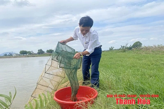 Nuôi trồng thủy sản theo hướng an toàn trong mùa mưa bão