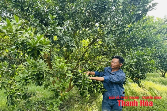 Làm giàu từ phát triển kinh tế tổng hợp