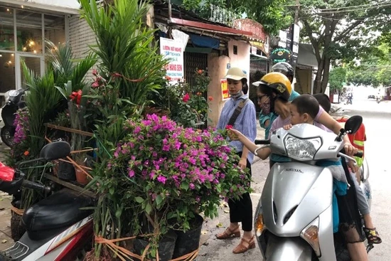 Khéo “Dính bẫy” hàng rong