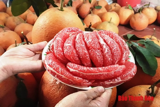 Những đặc sản trên vùng đất “Hai vua”