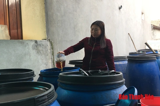 Phát triển thương hiệu nước mắm Khúc Phụ