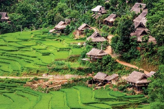 Việt Nam - Điểm đến an toàn trong đại dịch Covid-19