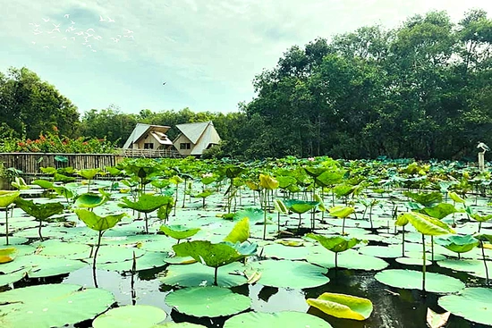 Nước nổi Trà Sư...
