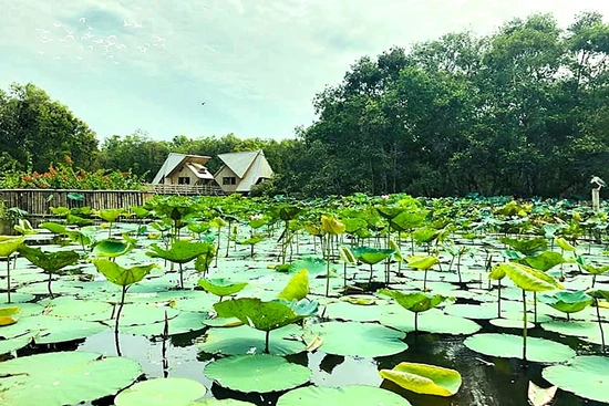 Nước nổi Trà Sư...