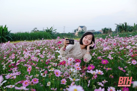 Mê mải trên cánh đồng m88 cá cược thể thao trực tuyến ven sông Tào Xuyên