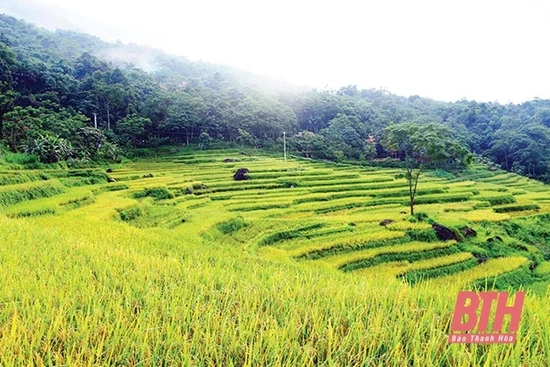 Tổ chức Cuộc thi ảnh nghệ thuật với chủ đề “Về miền di tích, danh thắng xứ Thanh”
