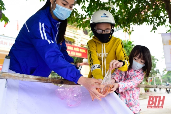 Thả cá chép ngày ông Táo - Nét đẹp văn hóa của người Việt