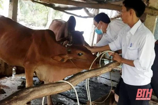 Thanh Hóa phân bổ hơn 1,2 triệu liều vaccine phòng bệnh cho đàn  vật nuôi  tại 6 huyện nghèo
