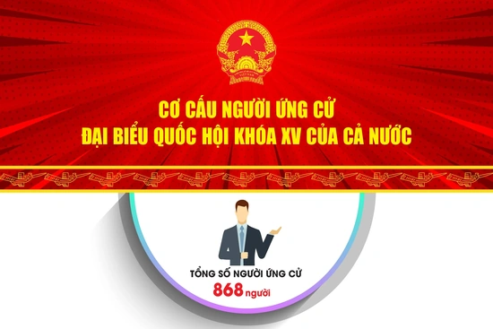 [Infographic] - Cơ cấu người ứng cử Đại biểu Quốc hội khóa XV của cả nước