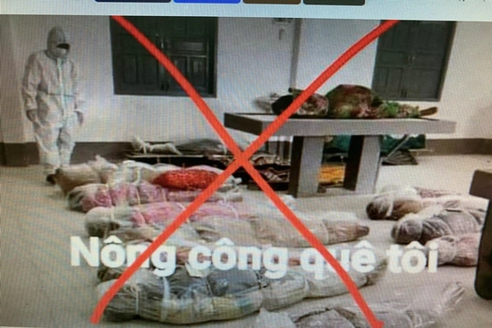 Tin giả cũng đang lây lan như một dạng vi rút