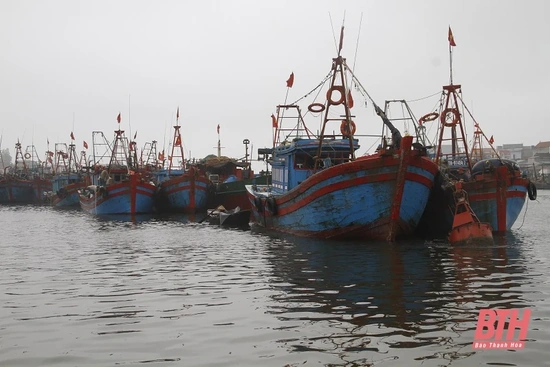 Thanh Hóa: Tất cả tàu thuyền đã vào nơi tránh trú an toàn và nắm được thông tin về bão số 8