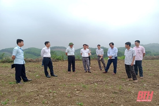 Huyện Thường Xuân chủ động phòng bệnh trên cây sắn