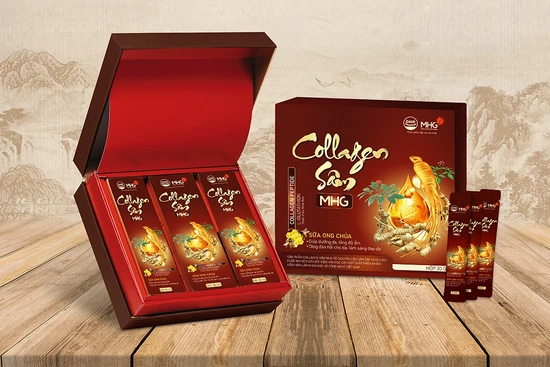 Sâm Ngọc Linh Nam Trà My: Báu vật đại ngàn