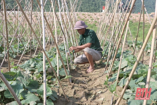 Nâng cao năng lực lãnh đạo của chi bộ nông thôn ở huyện Hoằng Hóa