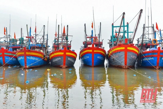 Giá xăng dầu tăng cao, ngư dân dè dặt ra khơi