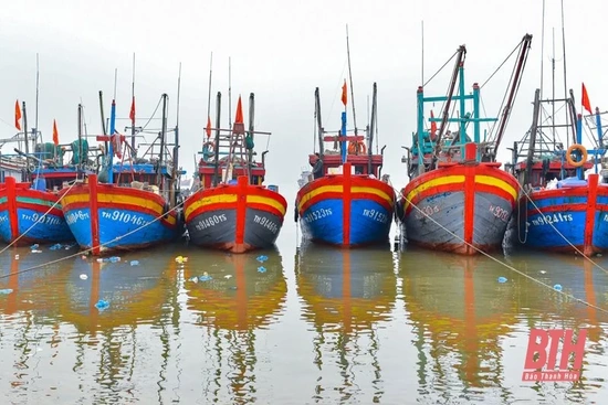 Giá xăng dầu tăng cao, ngư dân dè dặt ra khơi