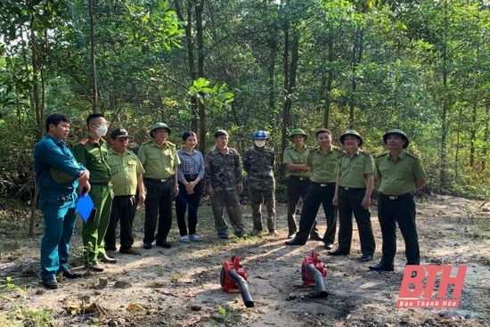 Tăng cường thực hiện các biện pháp cấp bách phòng cháy, chữa cháy rừng trong mùa nắng nóng năm 2022