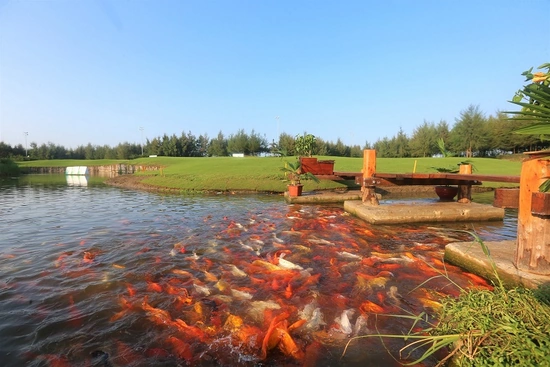 Những điểm Check-in không thể bỏ lỡ hè này của golfer