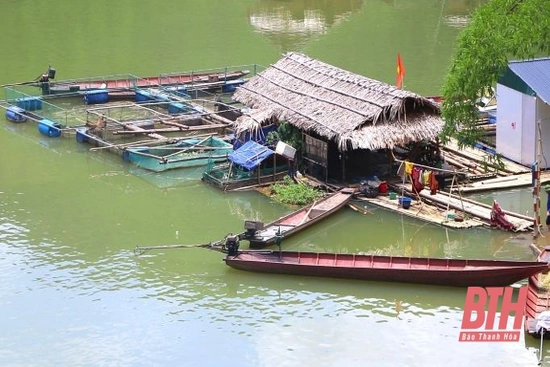 Phát triển nghề nuôi cá lồng trên lòng hồ Nhà máy Thủy điện Trung Sơn