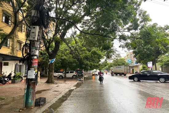 Đảm bảo m88 link mới nhất toàn điện trước, trong và sau bão số 2