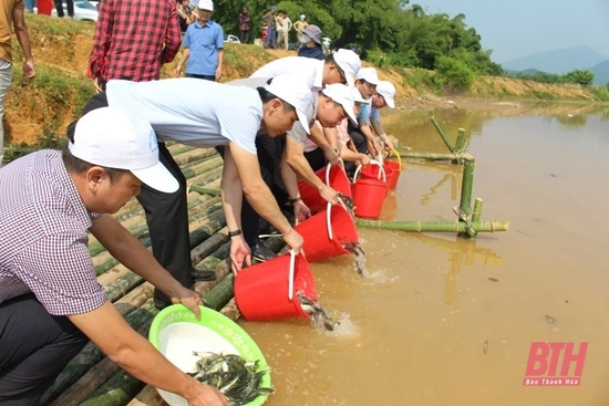 Thả cá giống tái tạo nguồn lợi thủy sản lòng hồ thủy điện Bá Thước 2