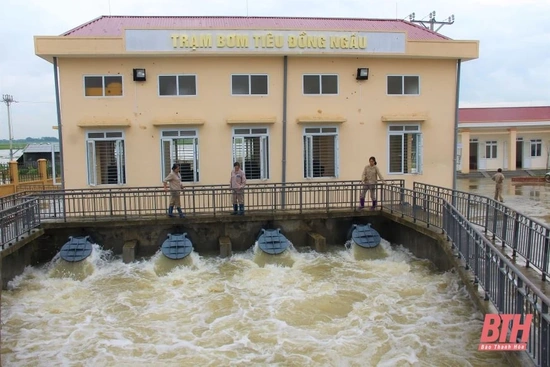 Vận hành các trạm bơm tiêu chống ngập, úng