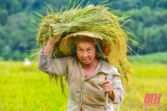 Vẻ đẹp người phụ nữ vùng cao xứ m m88