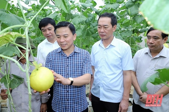 Lãnh đạo, chỉ đạo đẩy mạnh phát triển nông nghiệp sạch, nông nghiệp hữu cơ, nông nghiệp tuần hoàn  trên địa bàn tỉnh