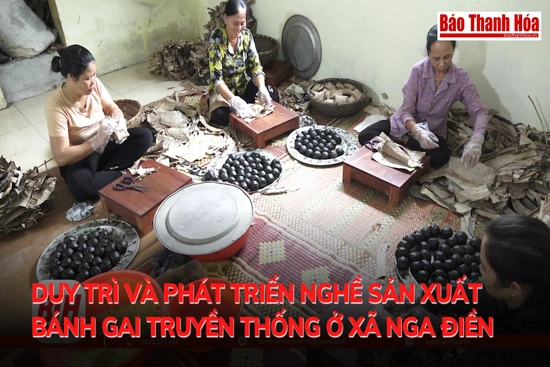 Duy trì và phát triển nghề sản xuất bánh gai truyền thống ở xã Nga Điền