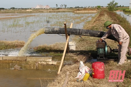 Tăng cường thực hiện các giải pháp phòng, chống hạn hán, thiếu nước, xâm nhập mặn