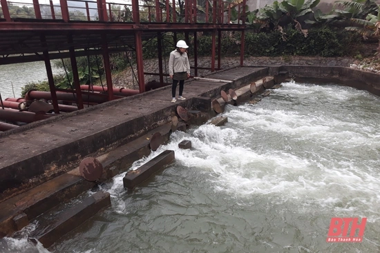 Chủ động khắc phục nguồn nước nhiễm mặn, phục vụ tưới cho sản xuất nông nghiệp