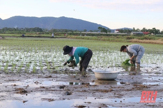 Hỗ trợ đào tạo, chuyển đổi nghề, tìm kiếm việc làm cho nông dân khi Nhà nước thu hồi đất