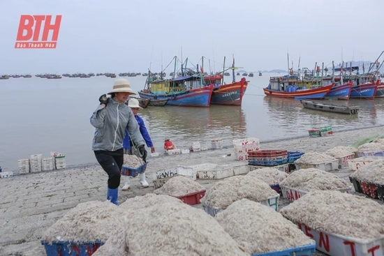 Nâng cao nhận thức của ngư dân trong khai thác hải sản