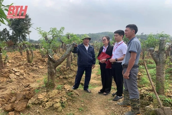 “Cánh tay nối dài