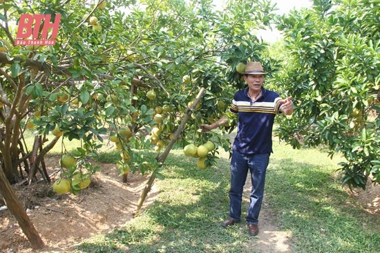 Xây dựng lộ trình, đề ra giải pháp để Hà Trung cán đích huyện nông thôn mới trong năm 2023