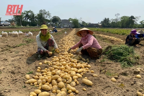 Cầu nối để nông dân vao m88 sản xuất