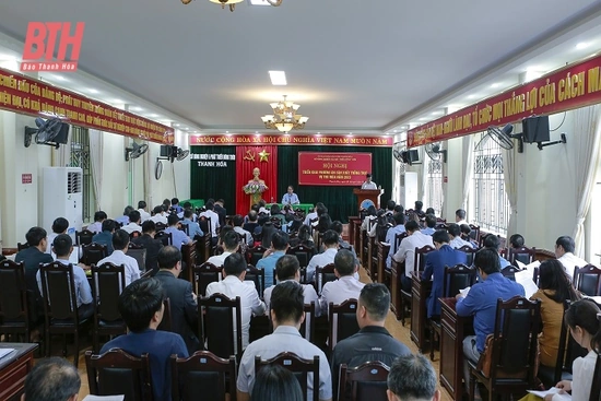 Toàn tỉnh phấn đấu gieo trồng 153.000 ha vụ thu mùa 2023