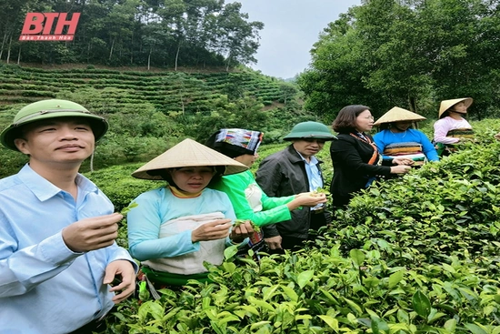 Bình Sơn thoát nghèo từ sản phẩm ocop