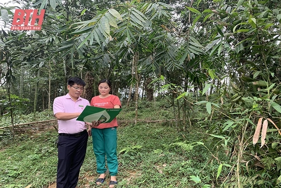 Thêm cơ hội được tiếp cận nguồn vốn, vươn lên thoát nghèo