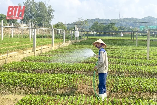 Bảo vệ đăng ký m88 mùa nắng nóng