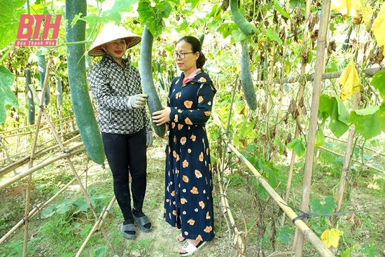 Nâng cao năng lực dự báo thị trường trong sản xuất nông nghiệp