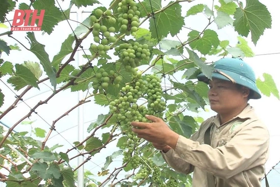 Bí thư đoàn thanh niên học và làm theo Bác