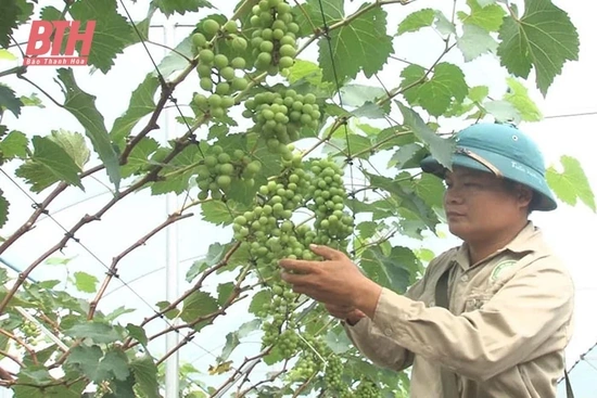 Bí thư đoàn thanh niên học và làm theo Bác
