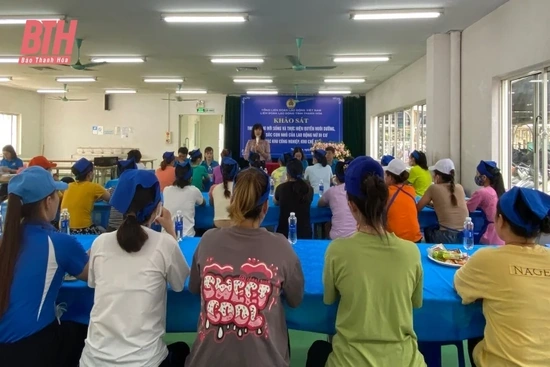 Khảo sát thực trạng đời sống và thực hiện quyền nuôi dưỡng, chăm sóc con nhỏ của lao động nữ
