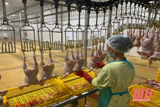 Tăng cường công tác quản lý kiểm dịch vận chuyển, kiểm soát giết mổ động vật, bảo đảm vệ sinh thú y
